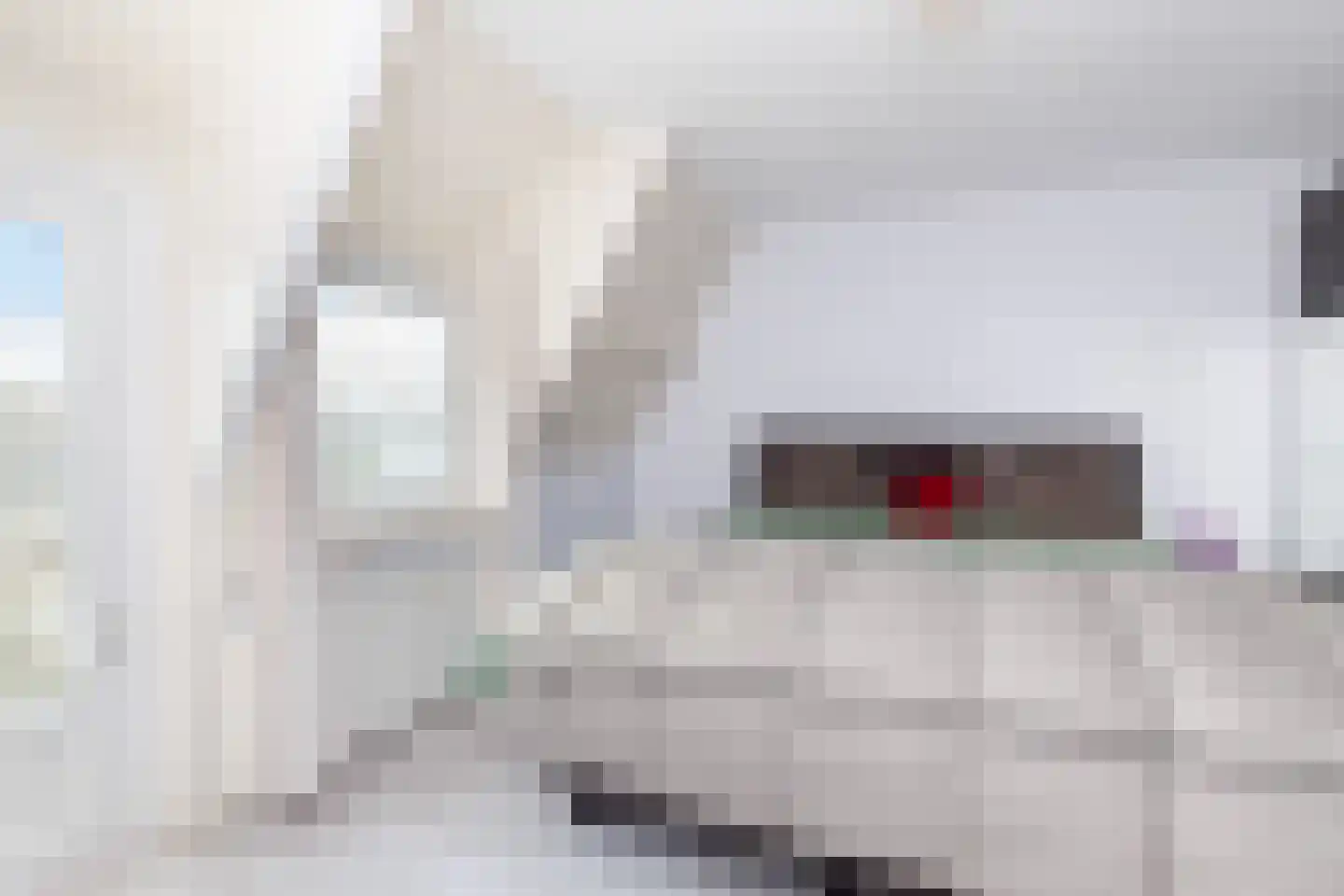 Koninginneweg 237 Rotterdam thumbnail 17