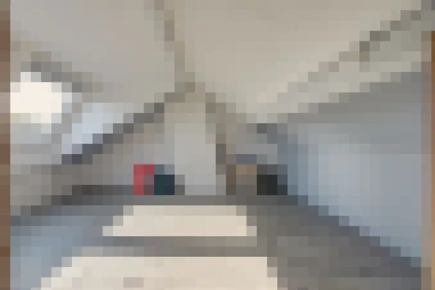 Koninginneweg 237 Rotterdam thumbnail 20