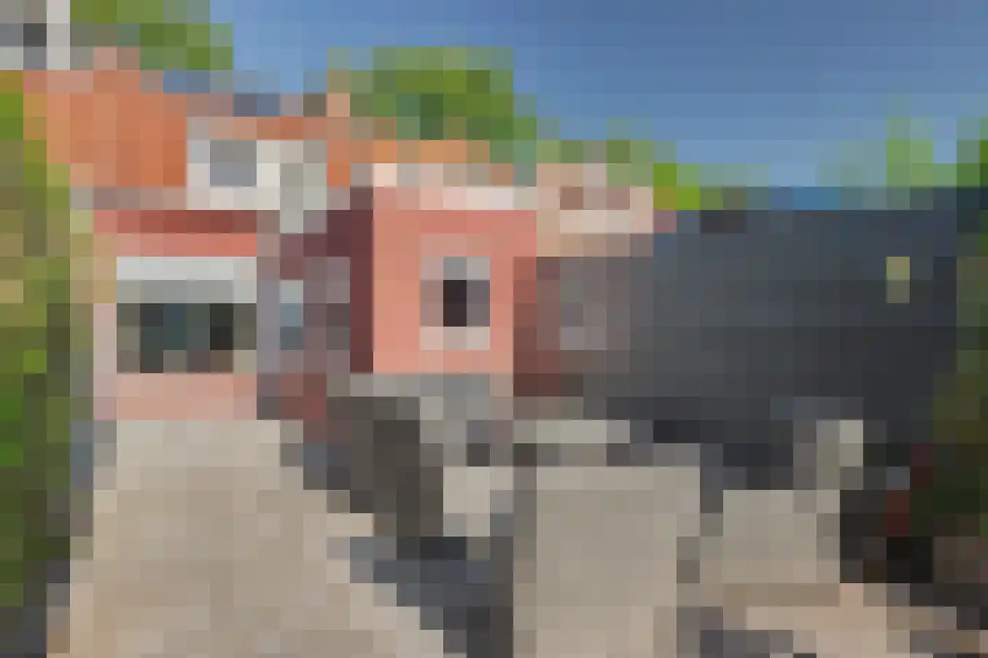Koninginneweg 237 Rotterdam thumbnail 24