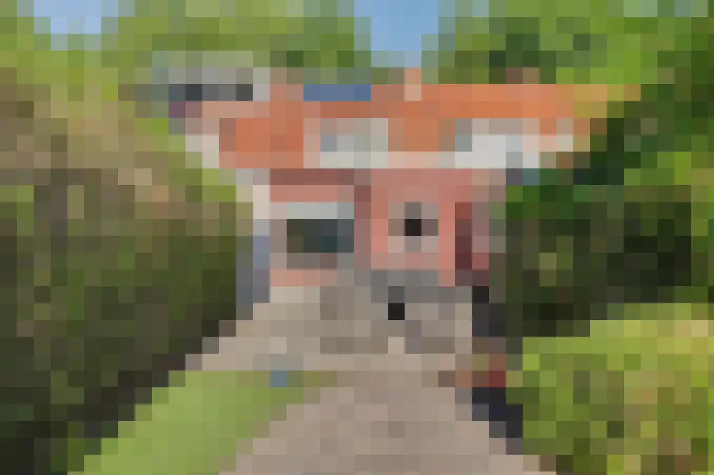 Koninginneweg 237 Rotterdam thumbnail 25