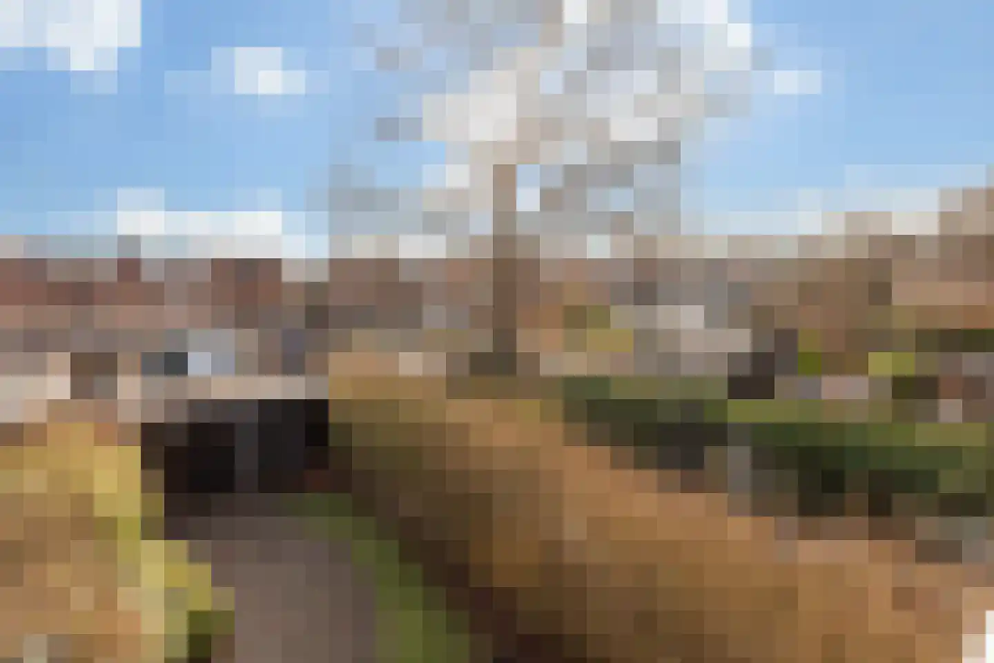 Koninginneweg 237 Rotterdam thumbnail 29