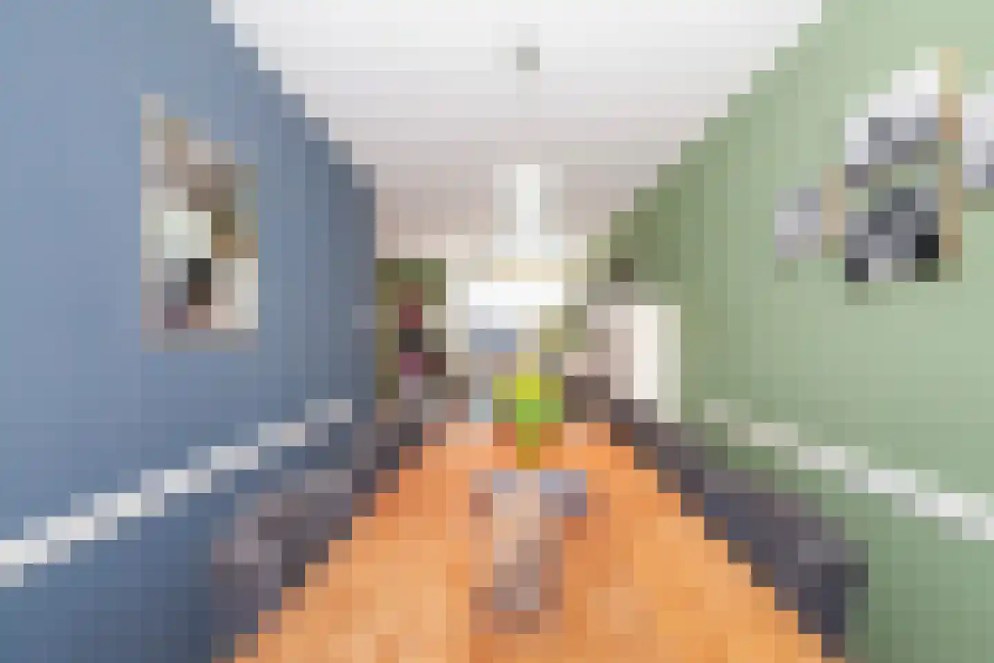 Koninginneweg 237 Rotterdam thumbnail 9