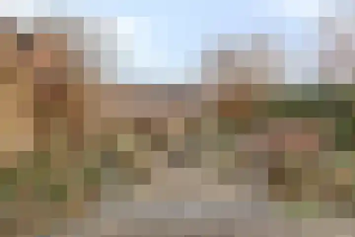 Koninginneweg 24 Kortenhoef thumbnail 36