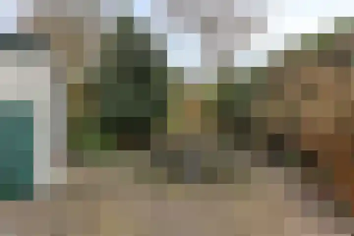 Koninginneweg 24 Kortenhoef thumbnail 38