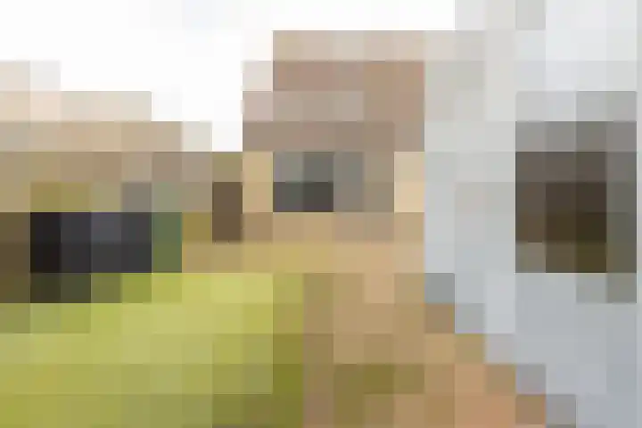 Koninginneweg 24 Numansdorp thumbnail 23