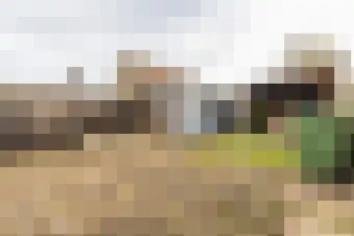 Koninginneweg 24 Numansdorp thumbnail 24