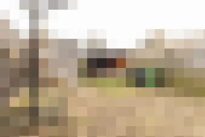 Koninginneweg 24 Numansdorp thumbnail 25