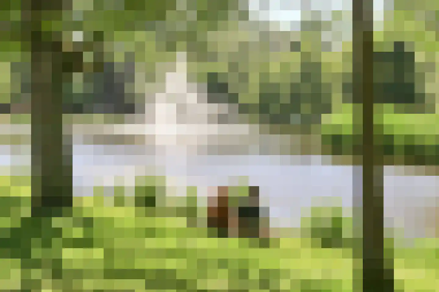 Koninginneweg 245 2 Amsterdam thumbnail 33