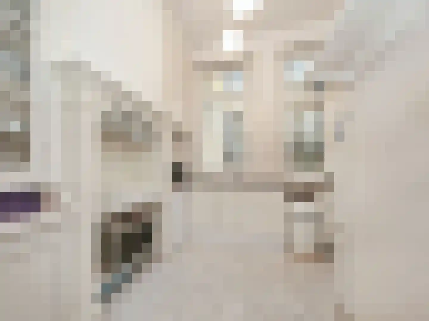 Koninginneweg 245 H Amsterdam thumbnail 18