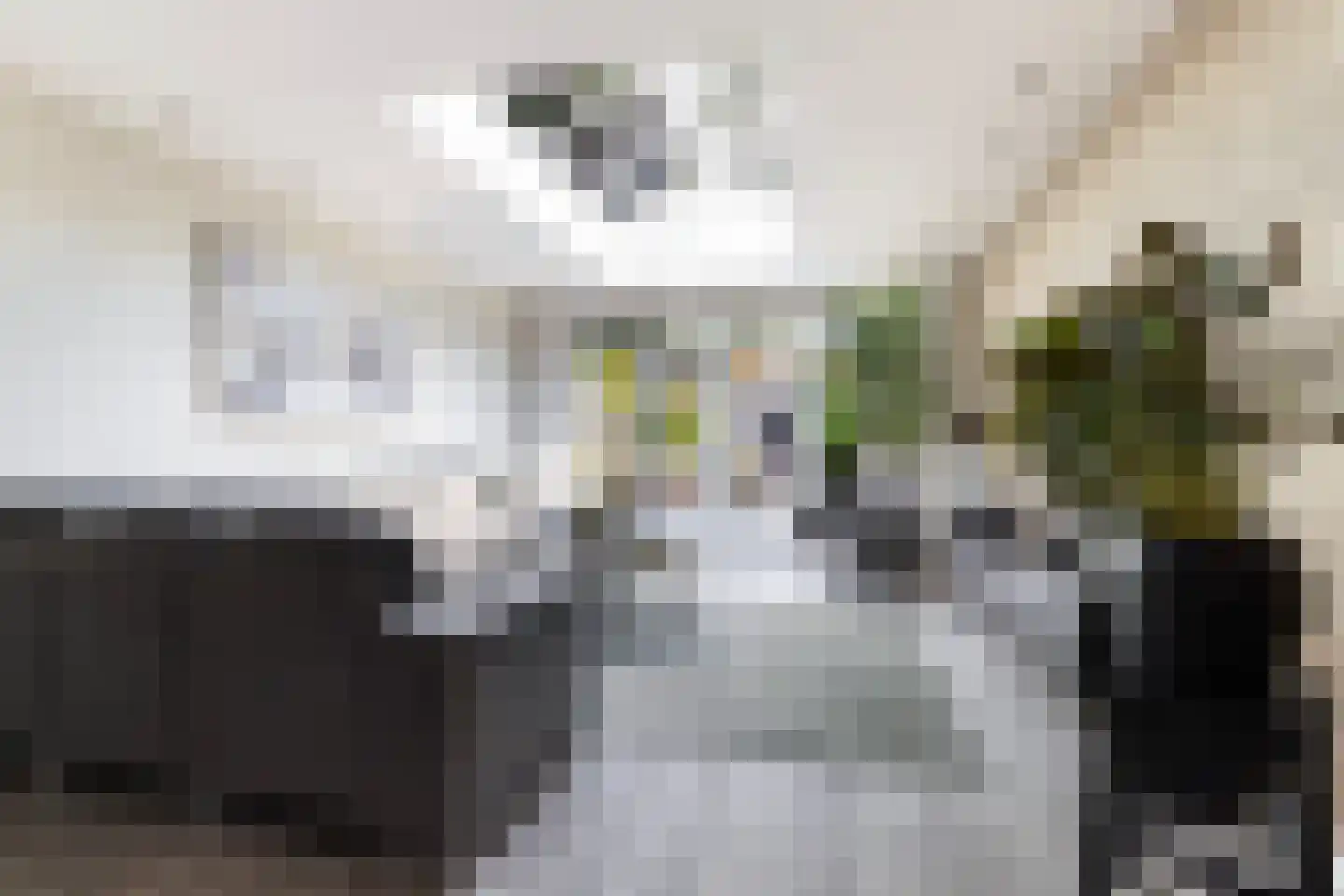 Koninginneweg 245 Rotterdam thumbnail 10