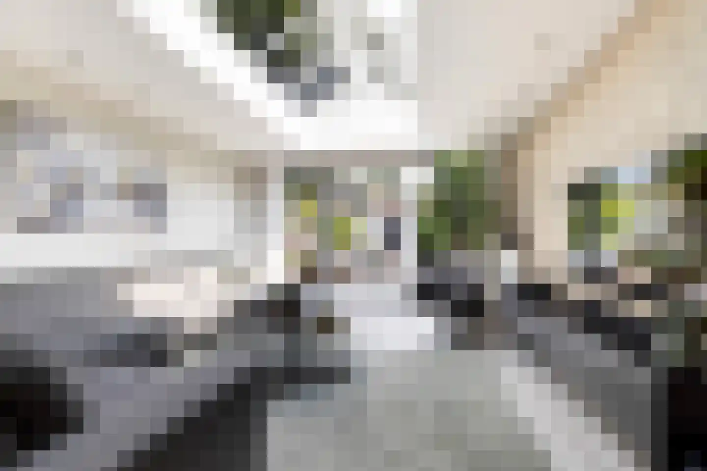 Koninginneweg 245 Rotterdam thumbnail 11