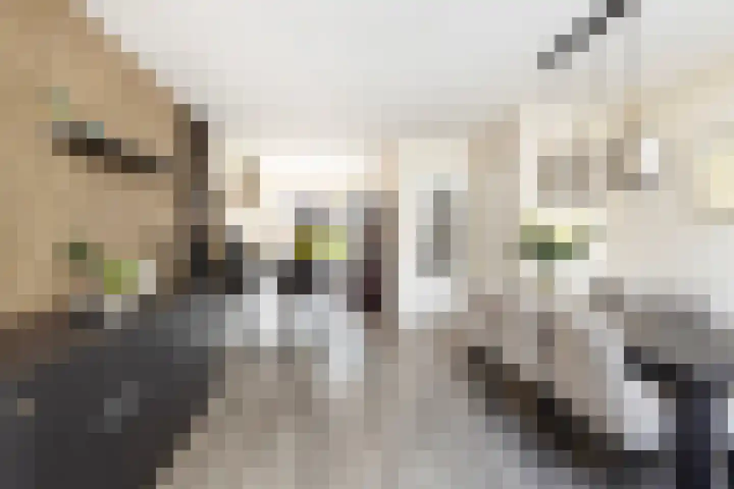 Koninginneweg 245 Rotterdam thumbnail 13