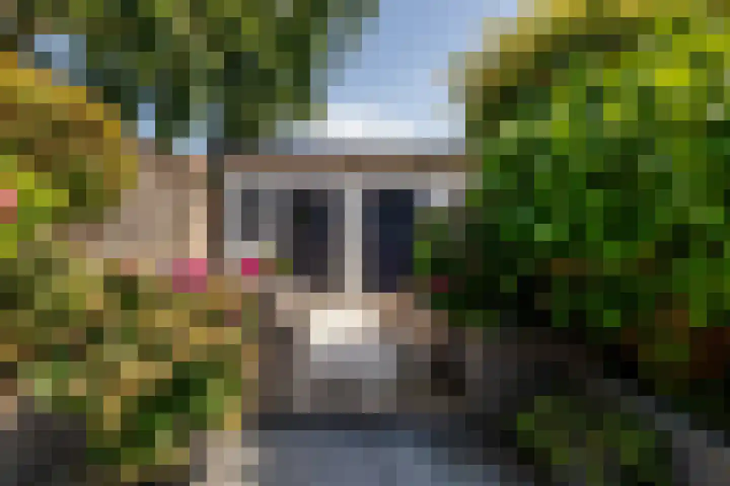 Koninginneweg 245 Rotterdam thumbnail 29