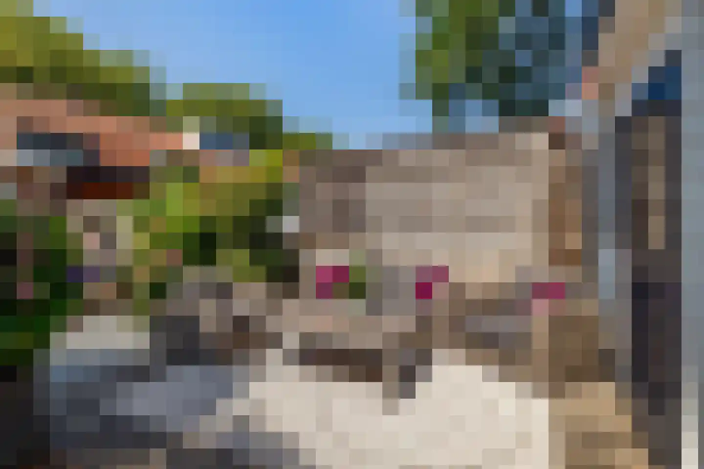 Koninginneweg 245 Rotterdam thumbnail 32