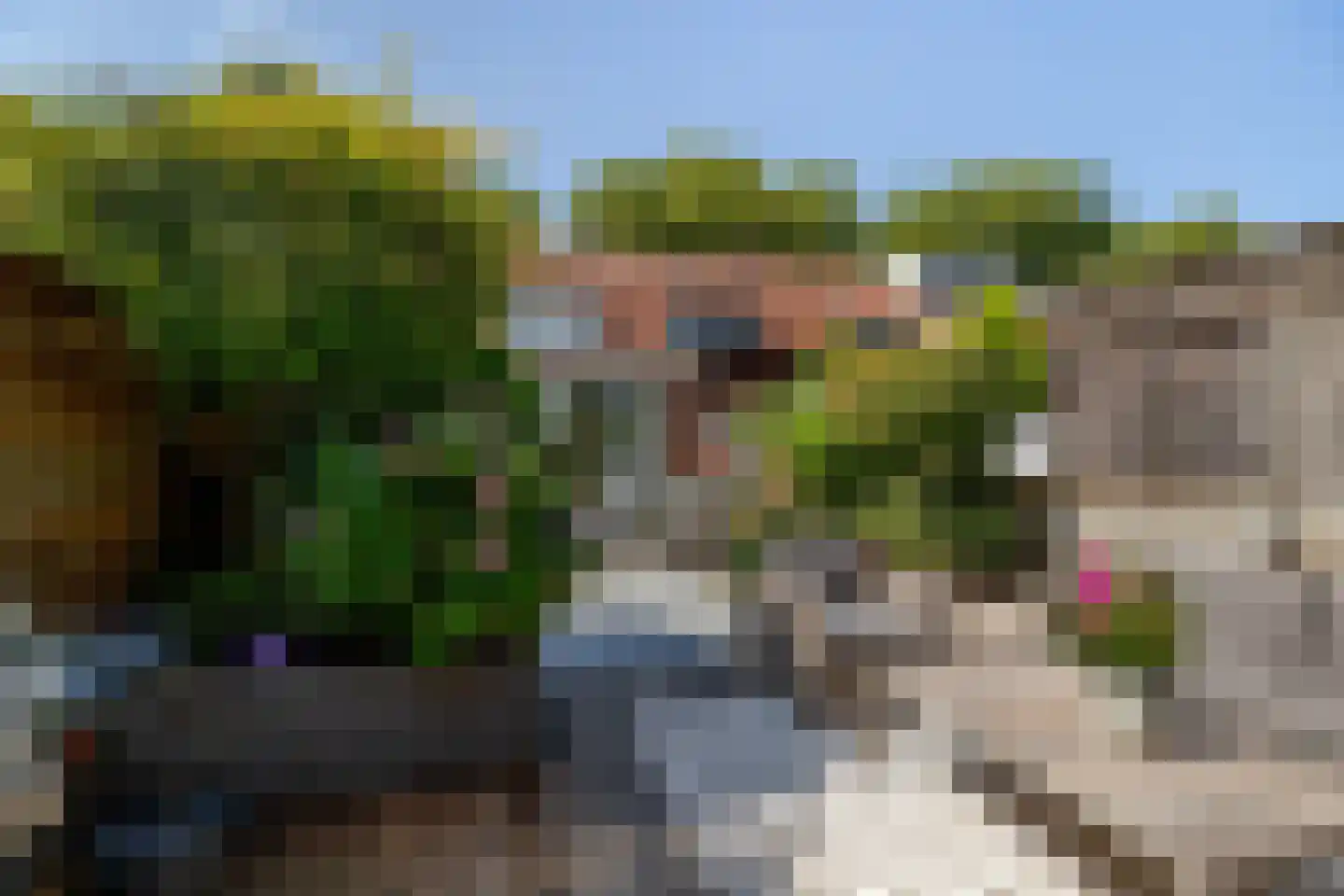 Koninginneweg 245 Rotterdam thumbnail 33