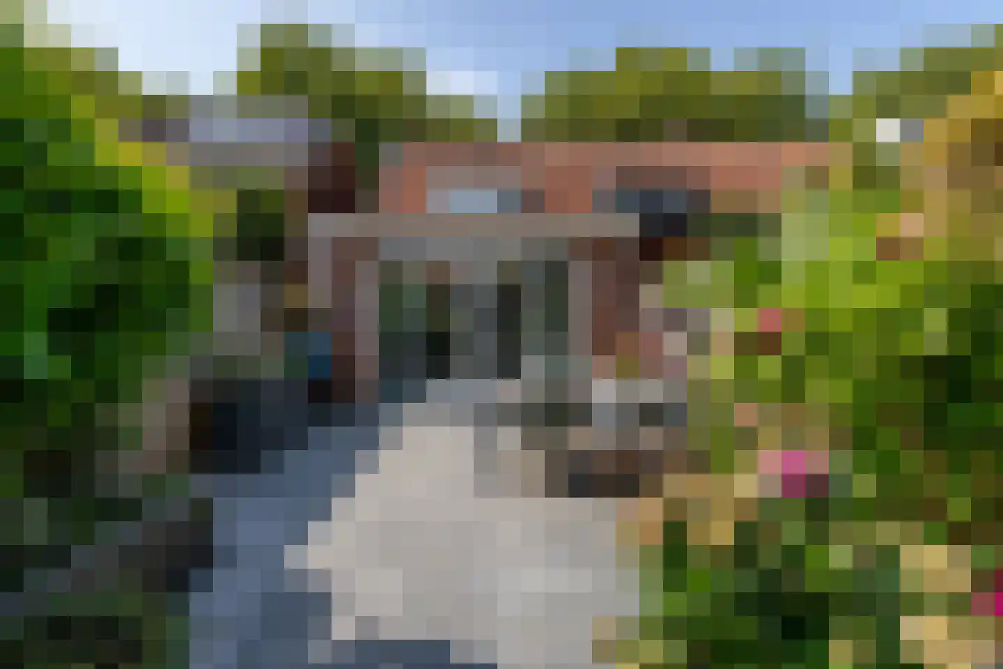 Koninginneweg 245 Rotterdam thumbnail 34