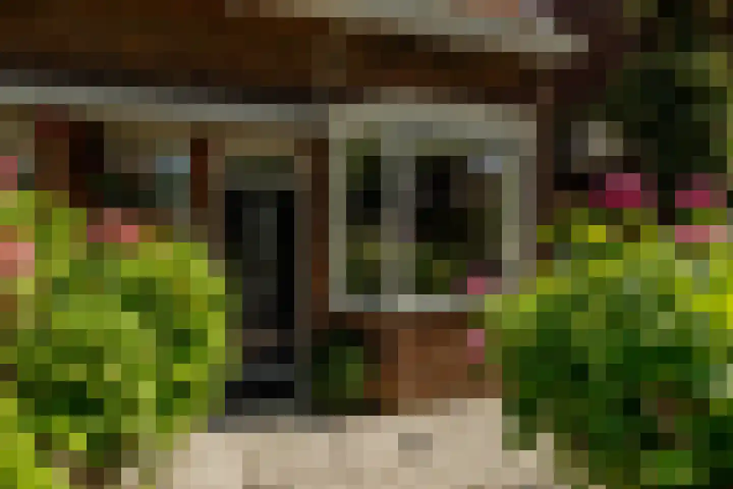 Koninginneweg 245 Rotterdam thumbnail 36