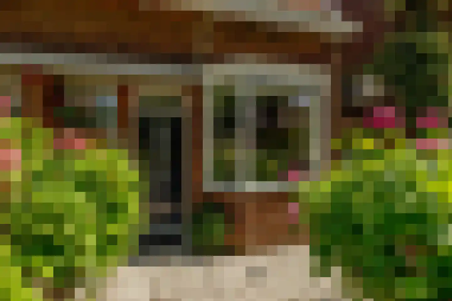 Koninginneweg 245 Rotterdam thumbnail 41