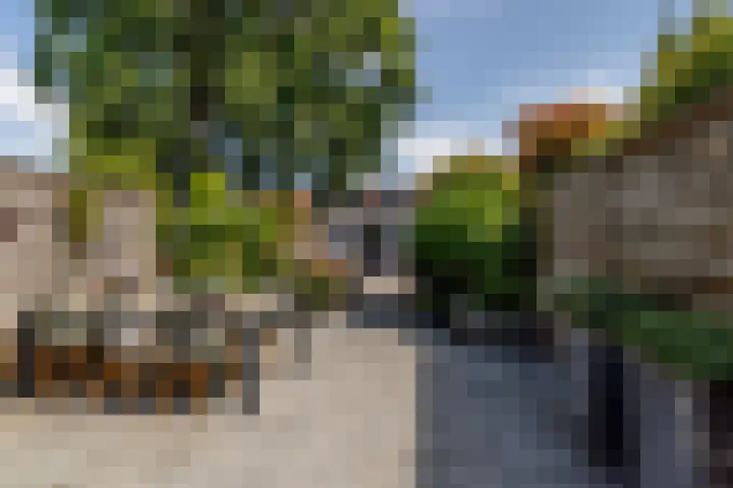 Koninginneweg 245 Rotterdam thumbnail 8