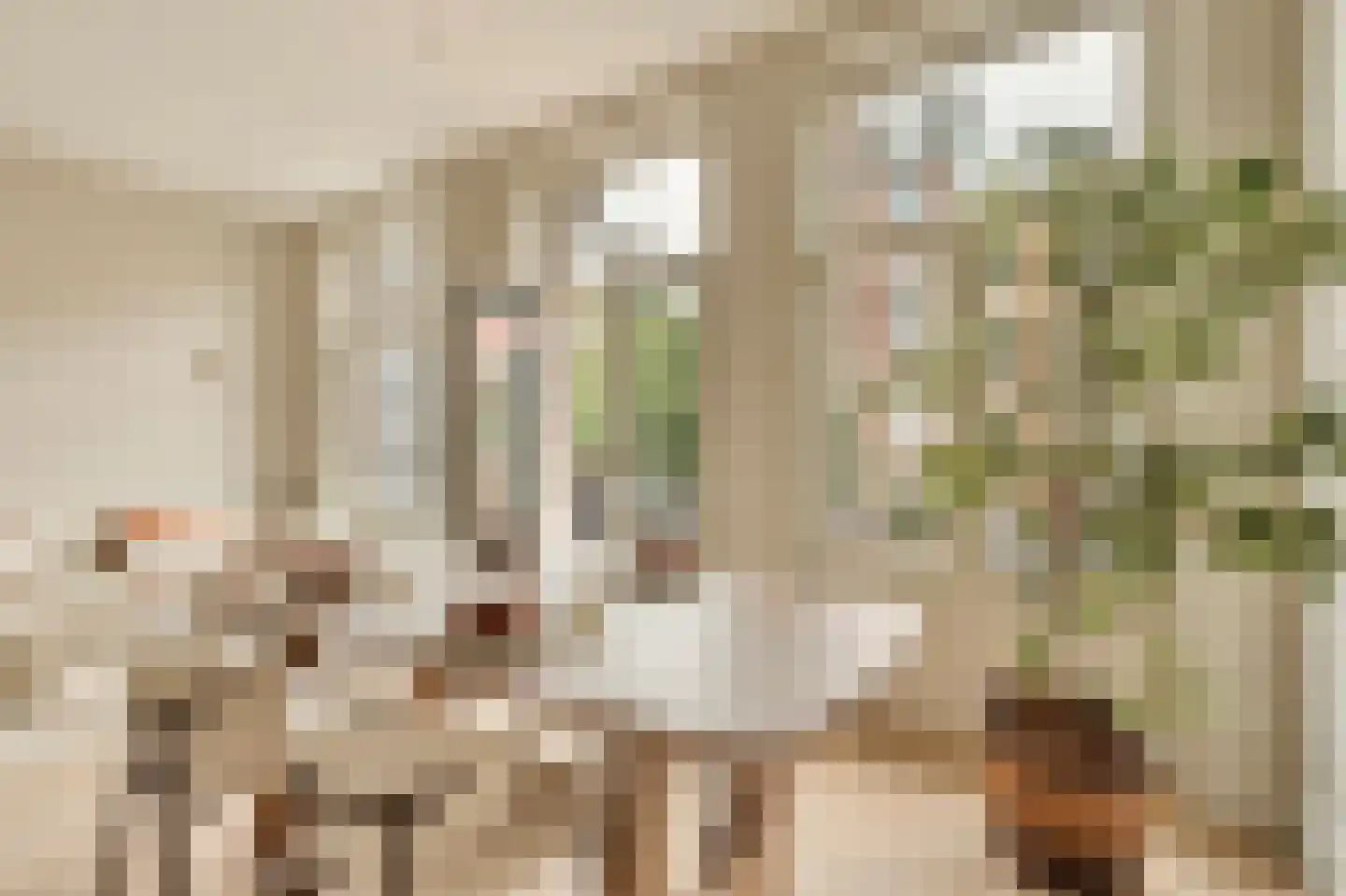 Koninginneweg 249 1 Amsterdam thumbnail 13