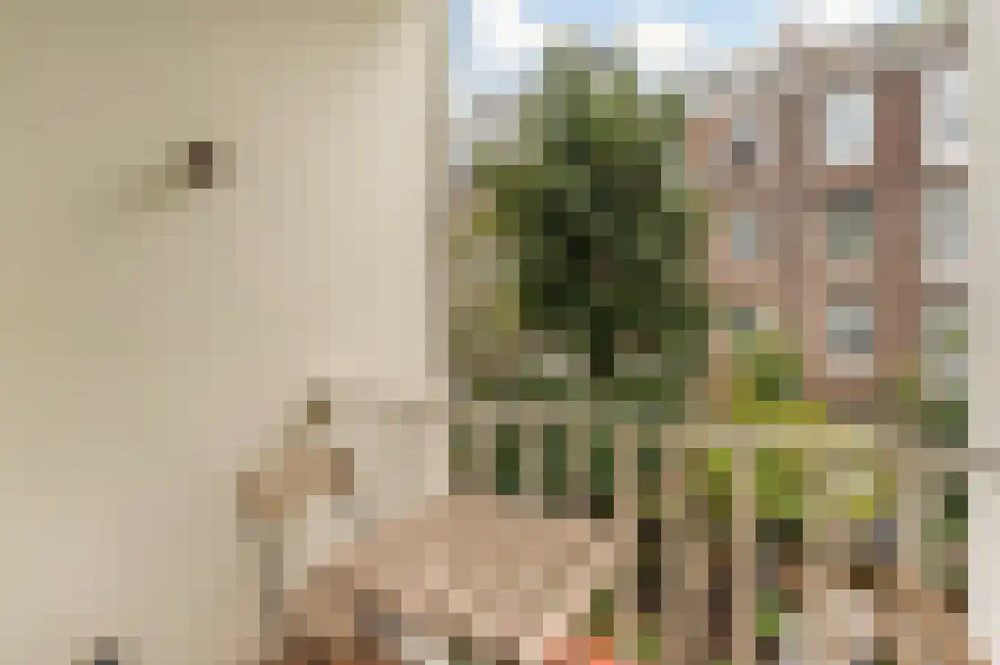 Koninginneweg 249 1 Amsterdam thumbnail 23