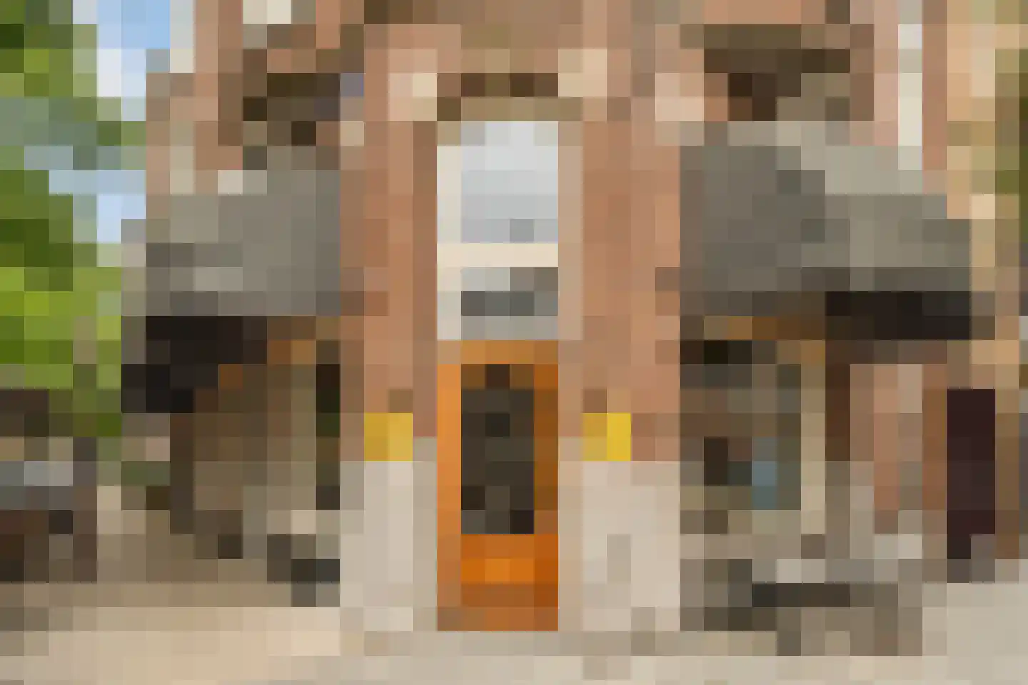 Koninginneweg 249 1 Amsterdam thumbnail 34