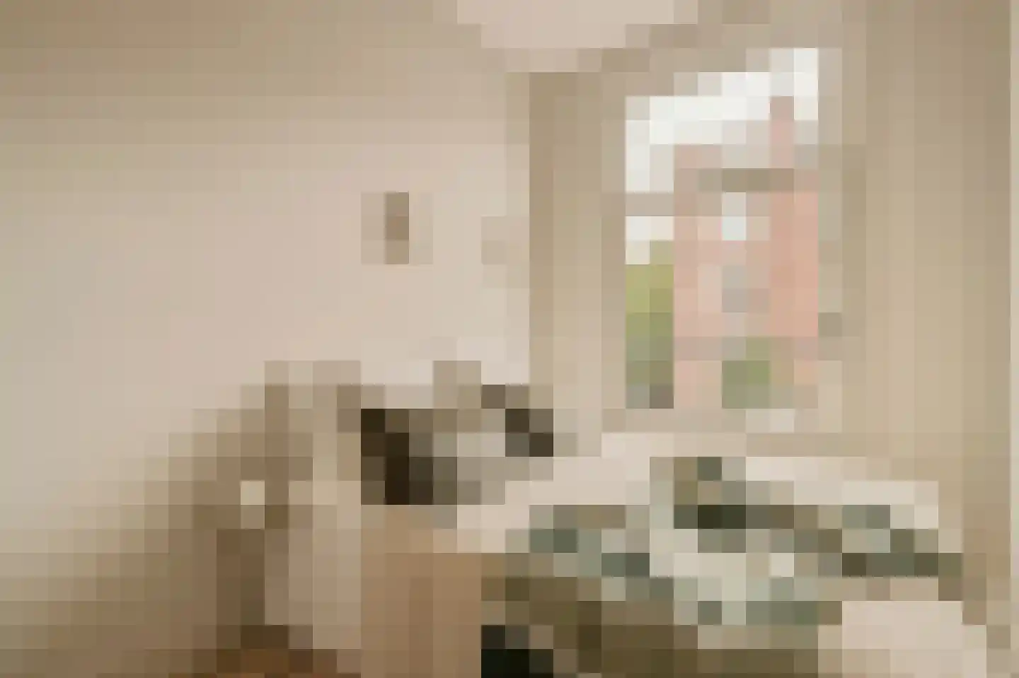 Koninginneweg 249 2B Amsterdam thumbnail 9