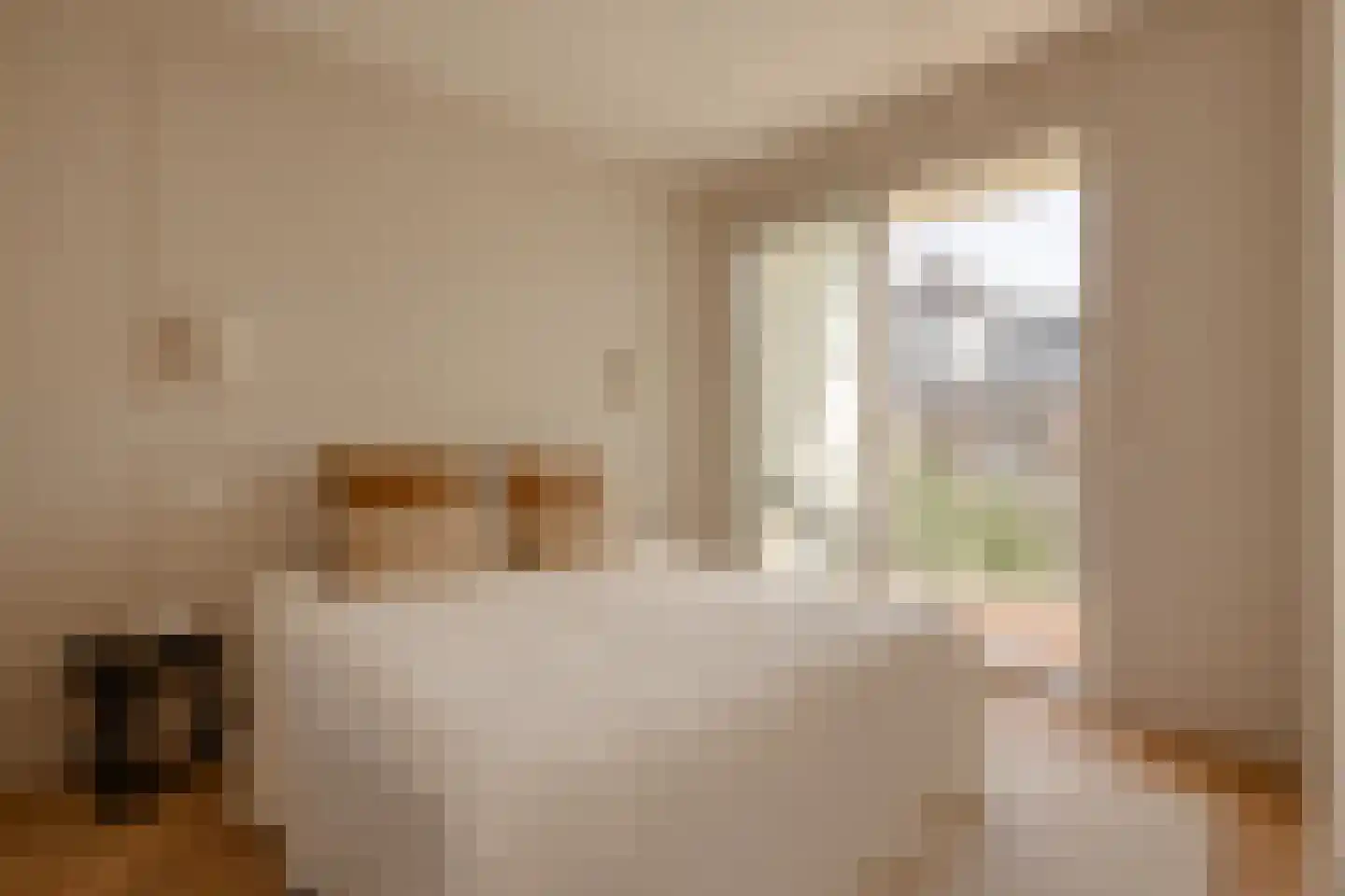 Koninginneweg 249 3 Amsterdam thumbnail 14