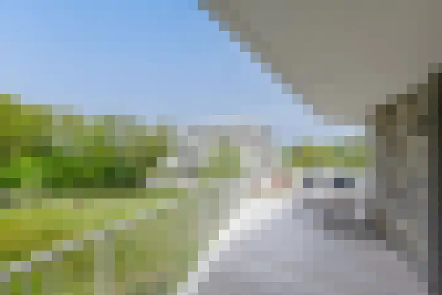 Koninginneweg 25 C Bergen (NH) thumbnail 31