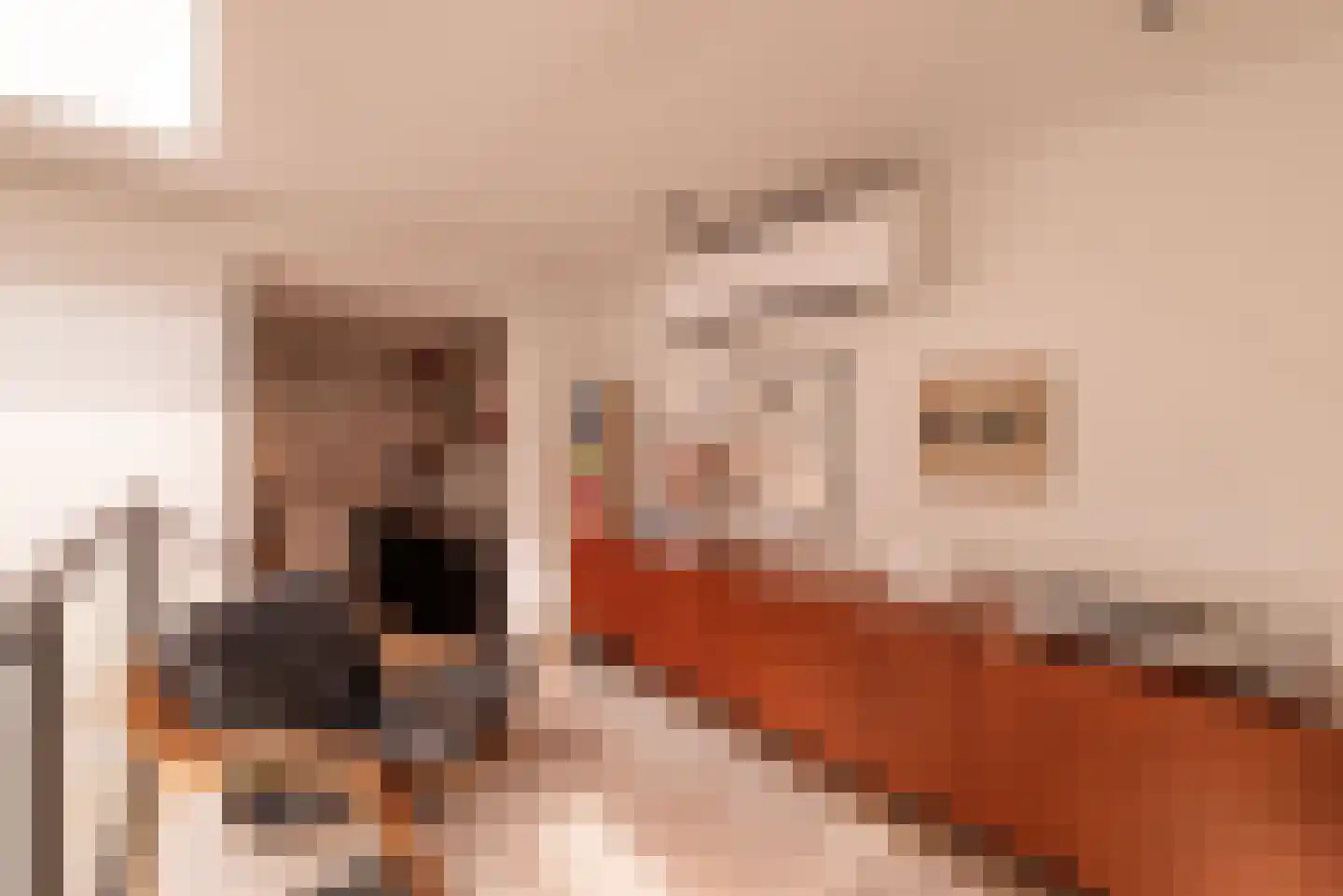 Koninginneweg 263 H Amsterdam thumbnail 16