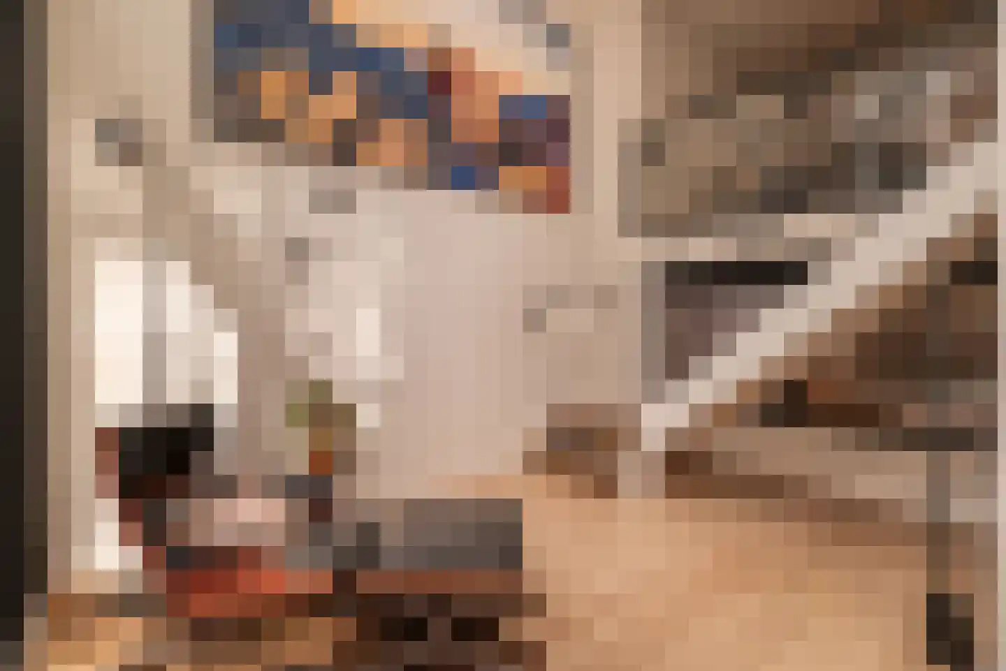 Koninginneweg 263 H Amsterdam thumbnail 18