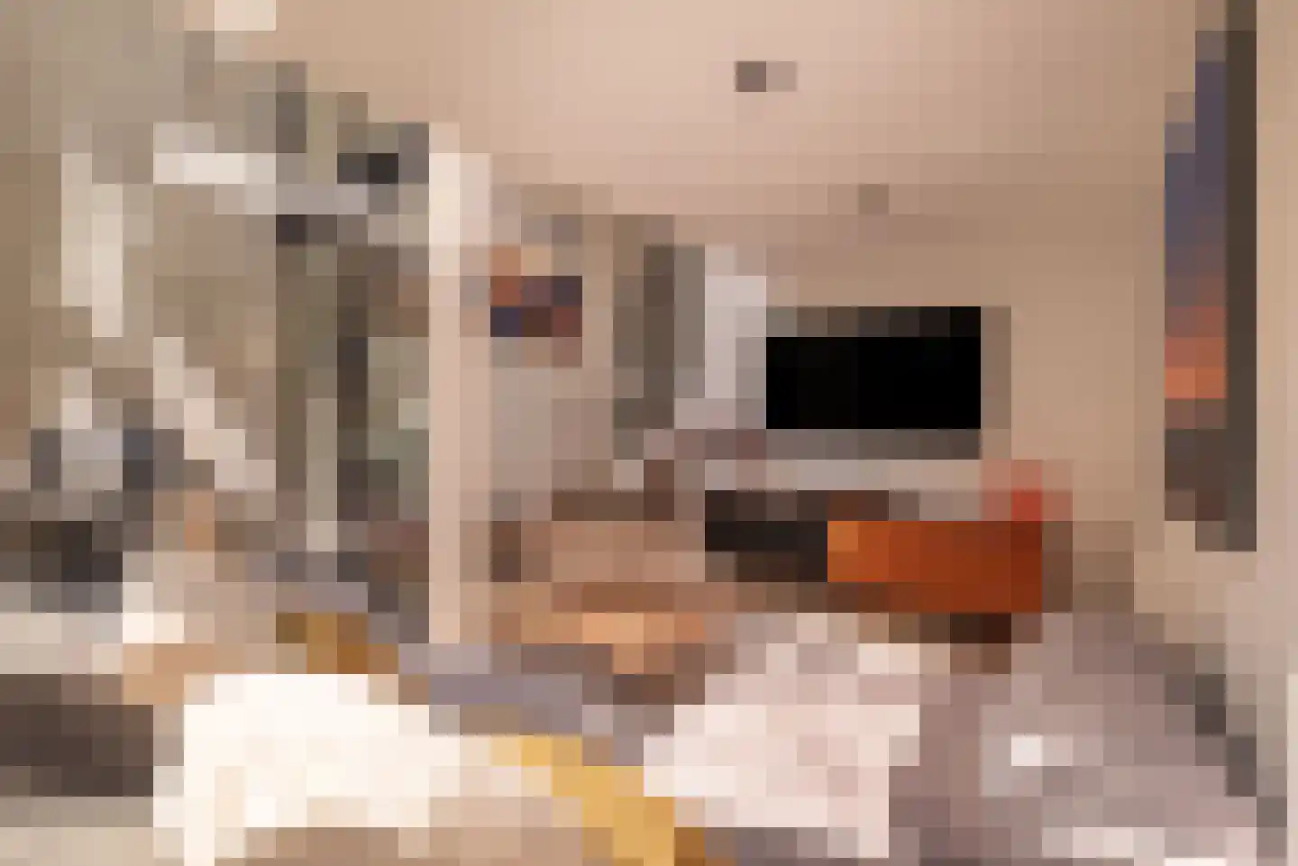 Koninginneweg 263 H Amsterdam thumbnail 19