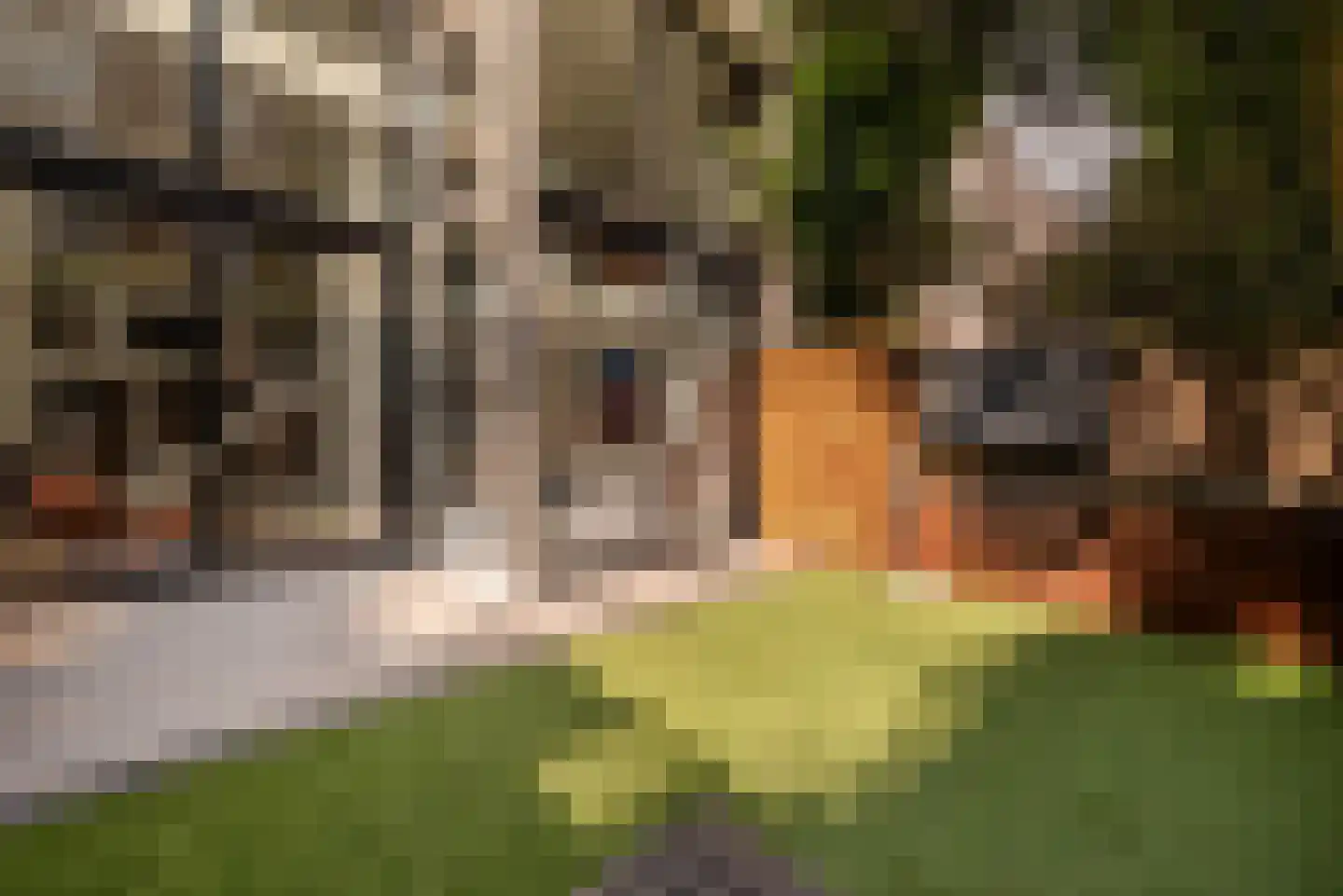Koninginneweg 263 H Amsterdam thumbnail 20