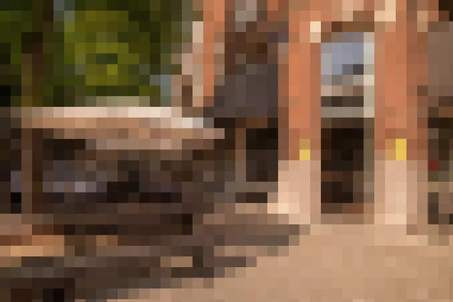 Koninginneweg 263 H Amsterdam thumbnail 34