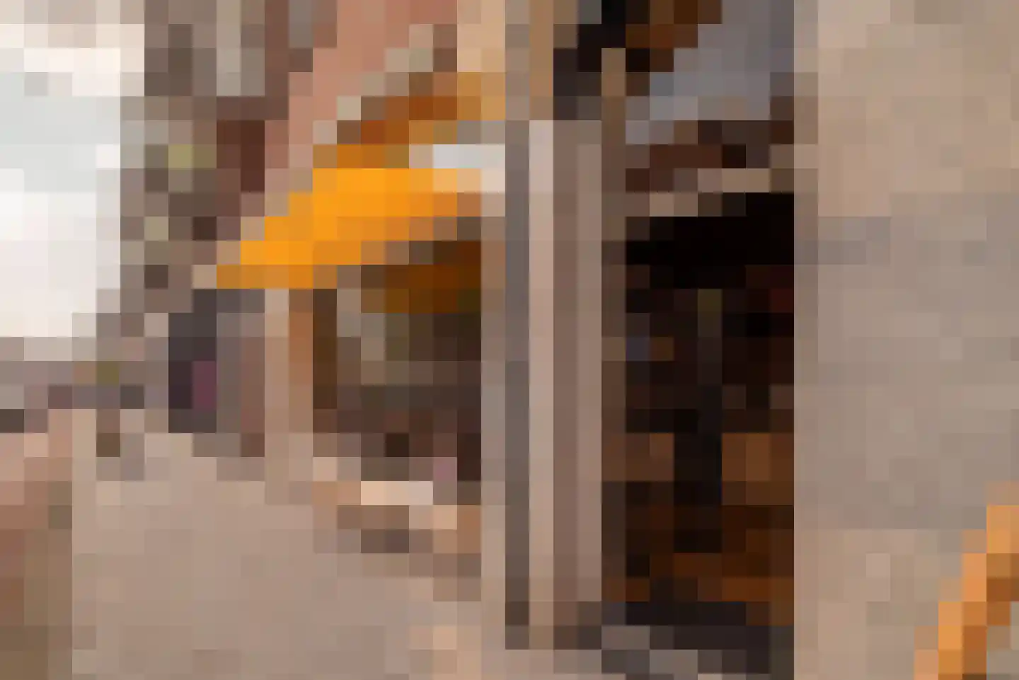 Koninginneweg 263 H Amsterdam thumbnail 35