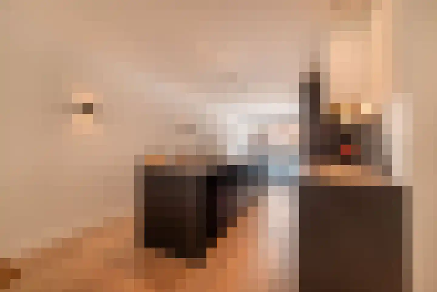 Koninginneweg 263 H Amsterdam thumbnail 6