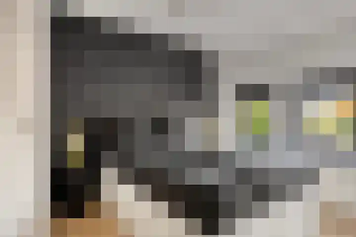 Koninginneweg 28 Zwijndrecht thumbnail 21