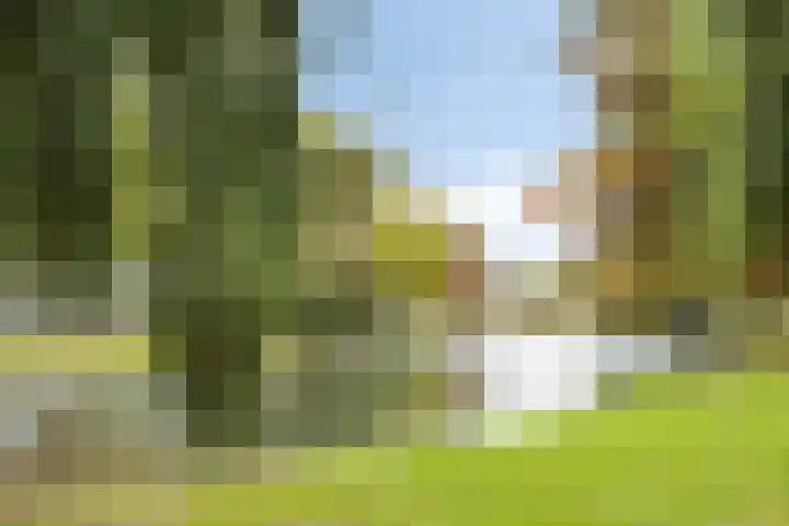 Koninginneweg 28 Zwijndrecht thumbnail 32