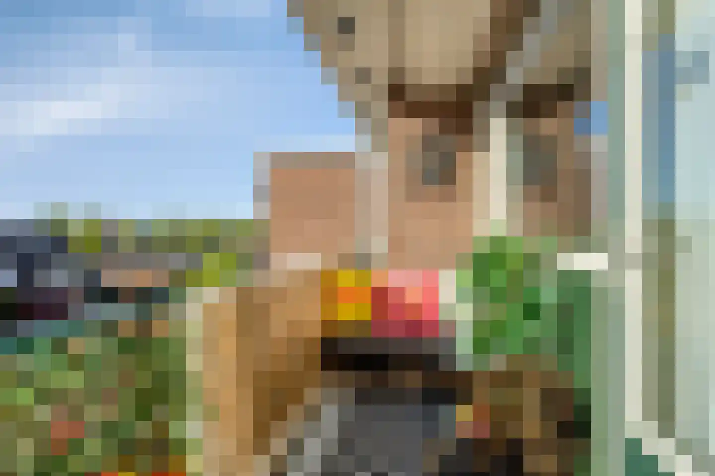Koninginneweg 29 Lisse thumbnail 20