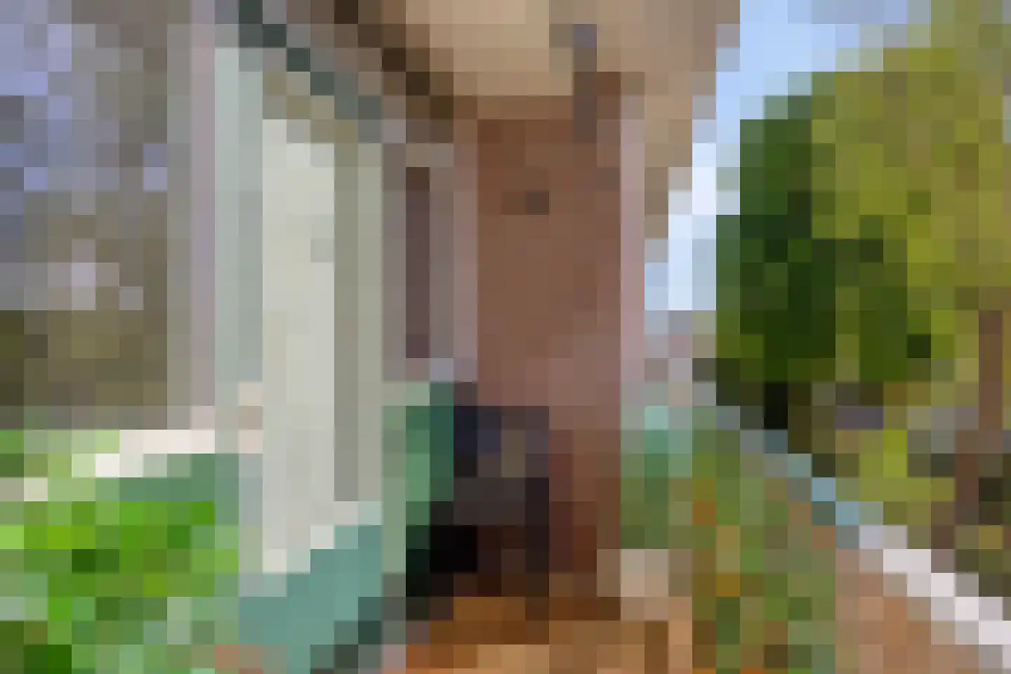 Koninginneweg 29 Lisse thumbnail 21