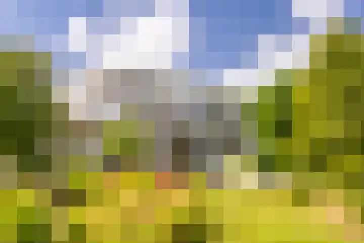 Koninginneweg 33 C Bergen (NH) thumbnail 30