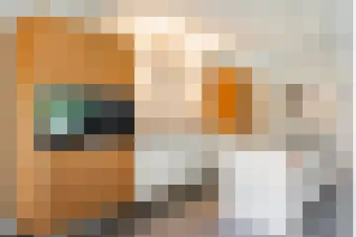 Koninginneweg 33 C Bergen (NH) thumbnail 8