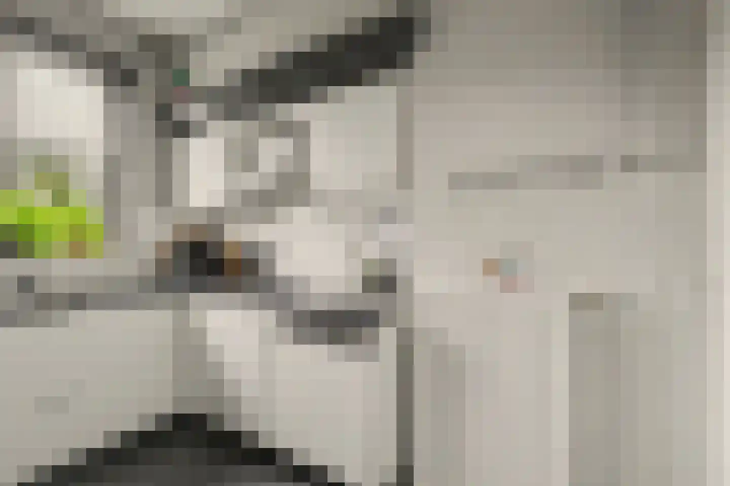 Koninginneweg 34 Goes thumbnail 11