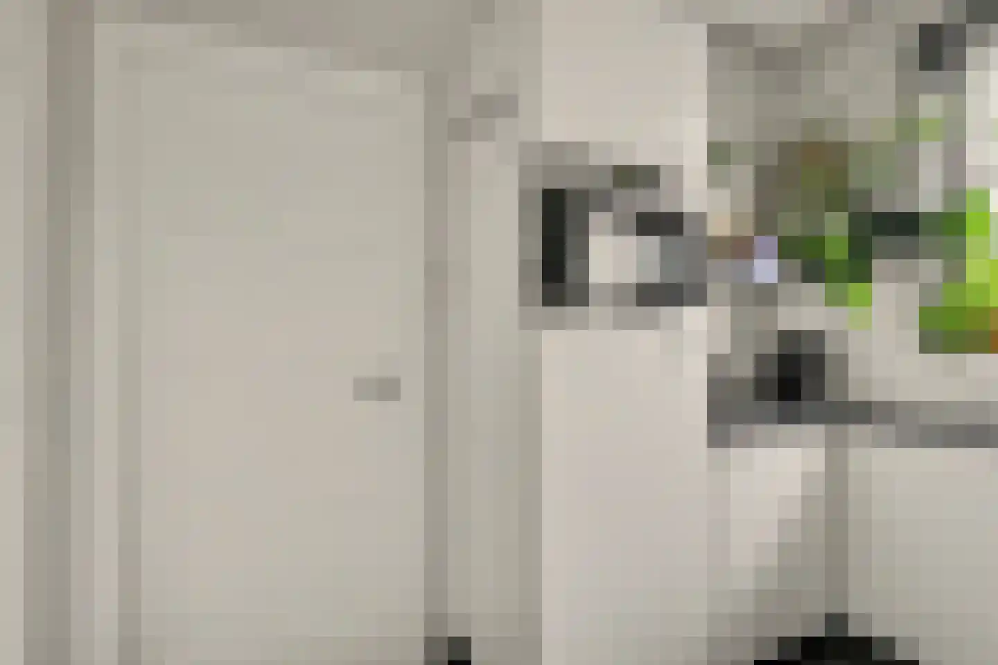 Koninginneweg 34 Goes thumbnail 12