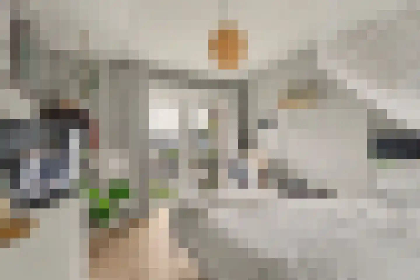 Koninginneweg 34 Goes thumbnail 20