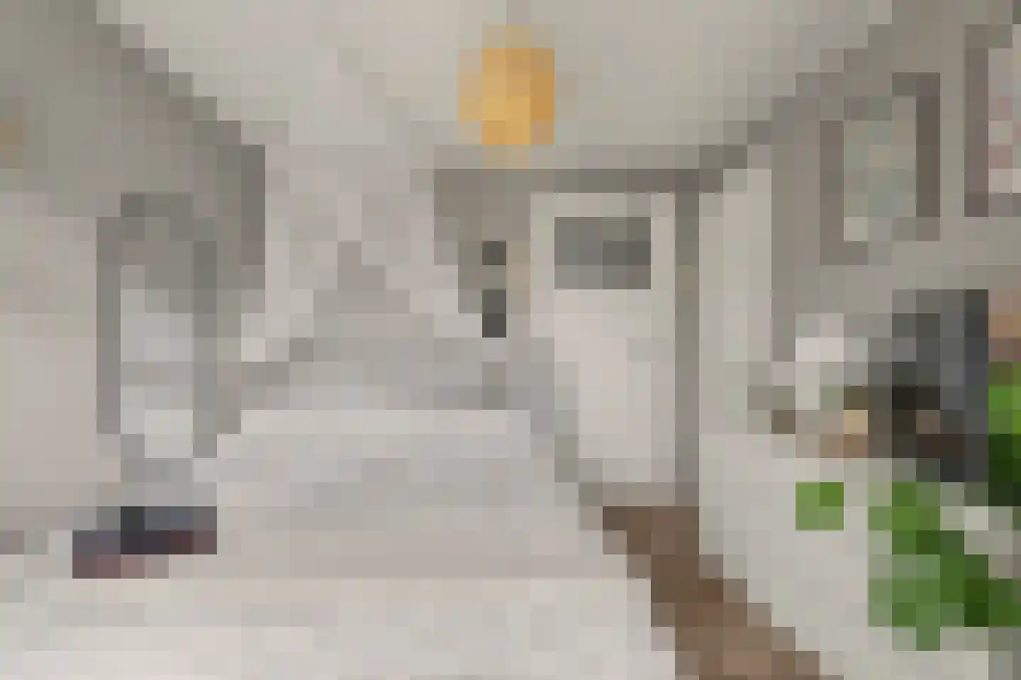 Koninginneweg 34 Goes thumbnail 21