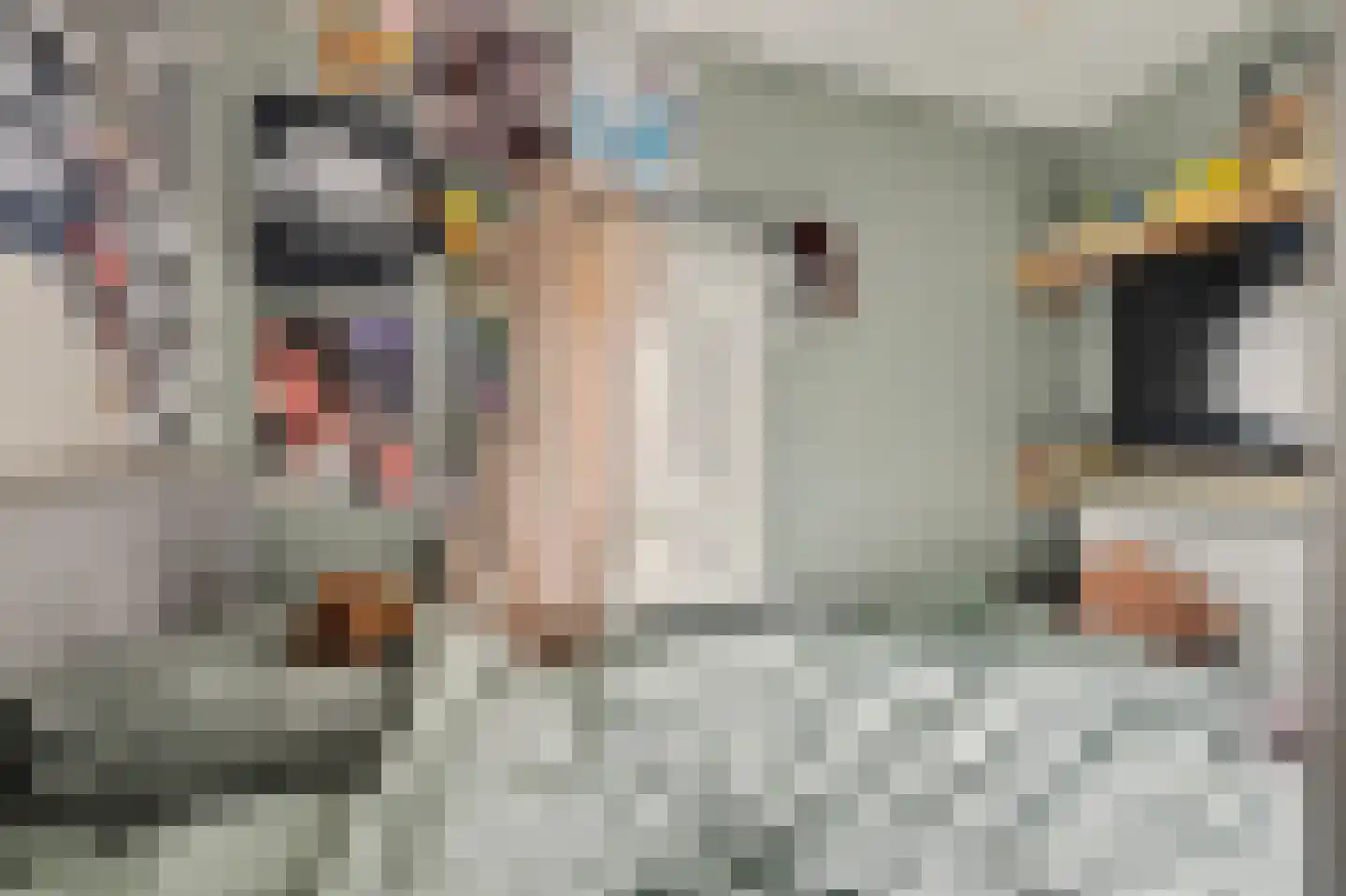 Koninginneweg 34 Goes thumbnail 24