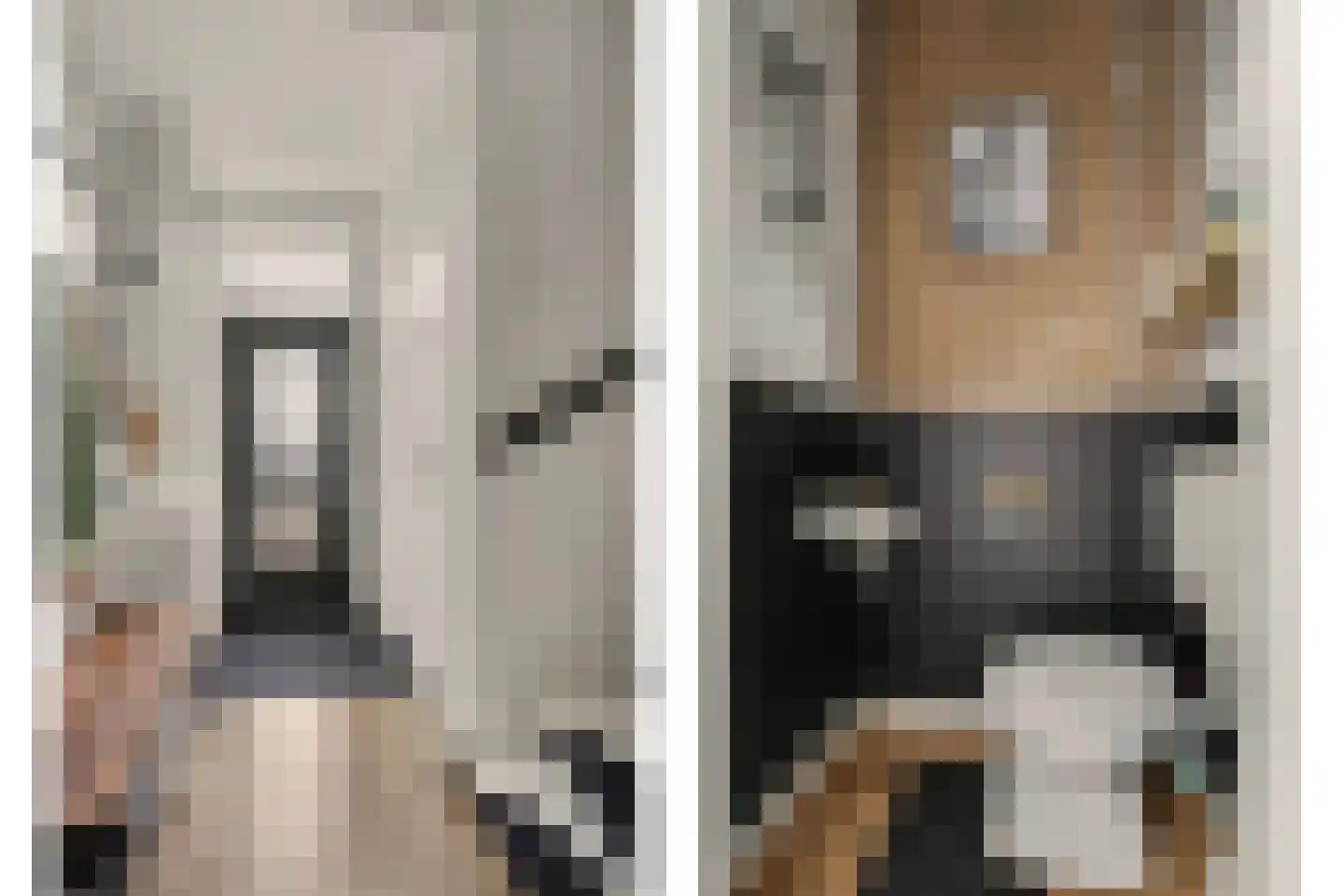Koninginneweg 34 Goes thumbnail 4