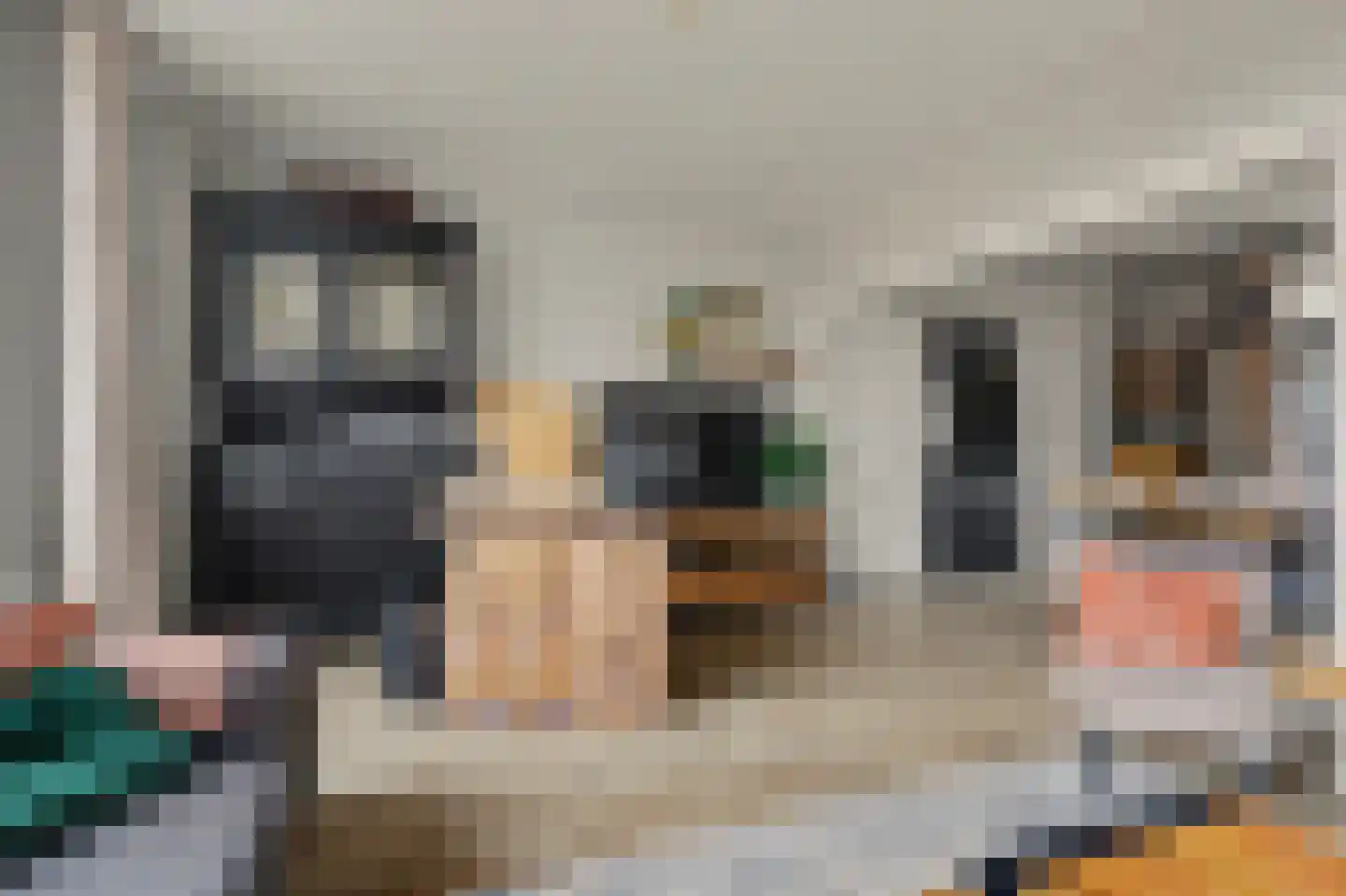 Koninginneweg 34 Goes thumbnail 7