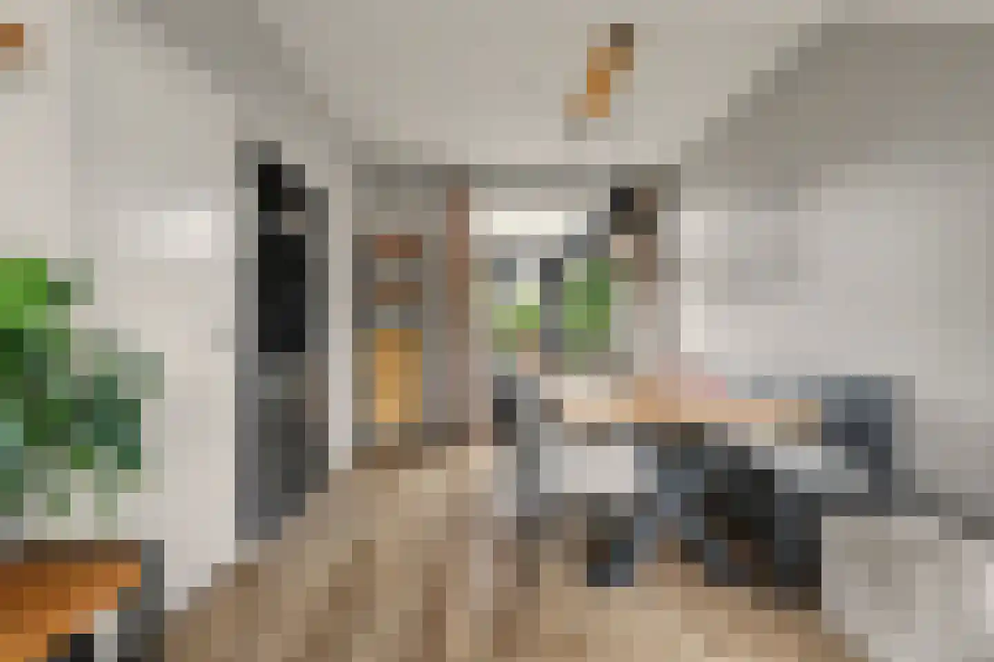 Koninginneweg 34 Goes thumbnail 8